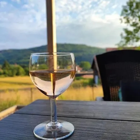 Cosy Familial Avec Billard 6 Pers Pres Gerardmer