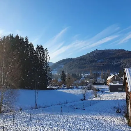 Cosy Familial Avec Billard 6 Pers Pres Gerardmer