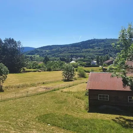 Les Boudieres 6 Pers Pres Gerardmer Cosy Billard Fraize