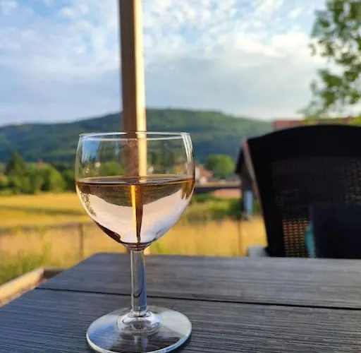 Les Boudieres 6 Pers Pres Gerardmer Cosy Billard