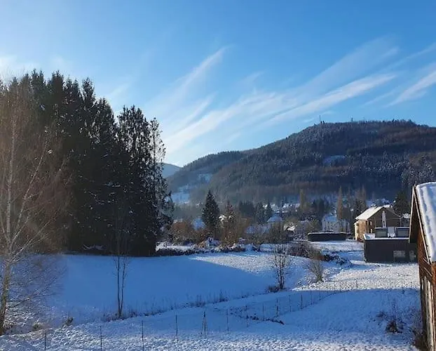 Les Boudieres 6 Pers Pres Gerardmer Cosy Billard